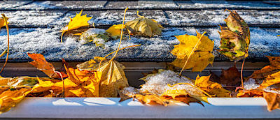 Autumn leaves blowing across a snow-covered metal roof