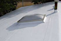 Single Ply Membrane Roof Type
