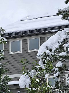 Snow Retention